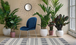 Set van 2 eetkamerstoelen Charles velvet