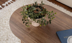 Salontafel Sable