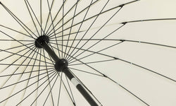 naduvi-collection-parasol-palmetto-wit-polyester-tuinaccessoires-tuin-balkon9