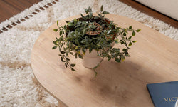 Salontafel Sable
