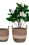 Decorasian Opbergmand, rond, geweven van zeegras, duurzaam