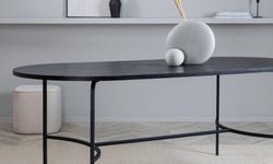 naduvi-collection-eettafel-raphael-ovaal-zwart-200x90x75-mdf-houtfineer-tafels-meubels7