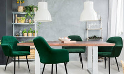 Set van 6 eetkamerstoelen Apollo