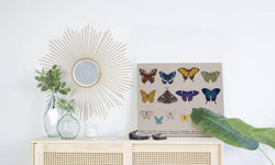 Wanddecoratie Colorful Butterflies