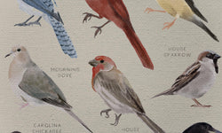 Wanddecoratie Birds