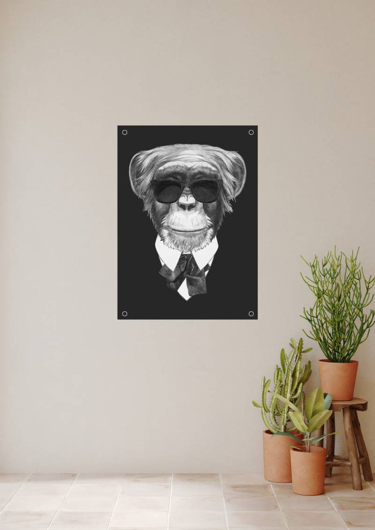 Tuinposter Aap