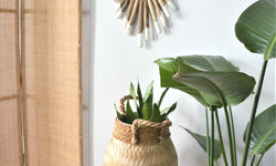 Wandhanger Putih