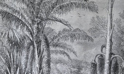 Wandkleed Jungle Walk