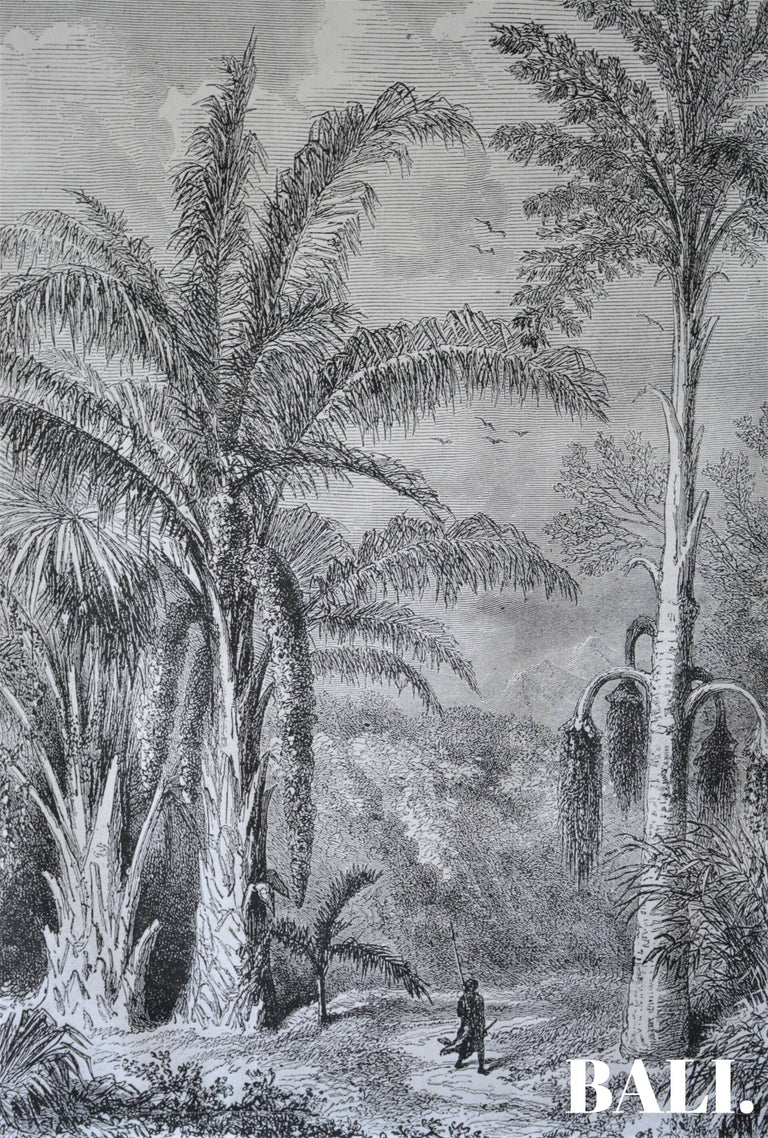 Wandkleed Jungle Walk