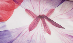 Dekbedovertrekset Blossom Petals