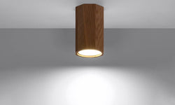 Plafondlamp Zeke