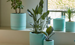 Bloempot Flush