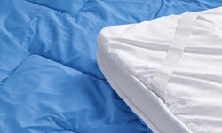 Topper Blue-cell