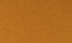 Eetkamerstoel Dolly velvet