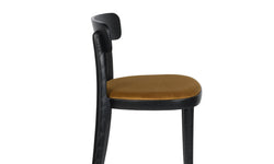 Set van 2 eetkamerstoelen Brandon velvet