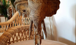 Beeld Olifant