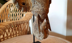 Beeld Olifant