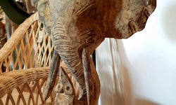 Beeld Olifant