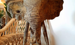 Beeld Olifant