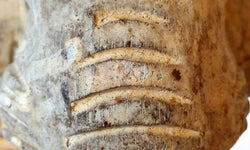 Beeld Olifant