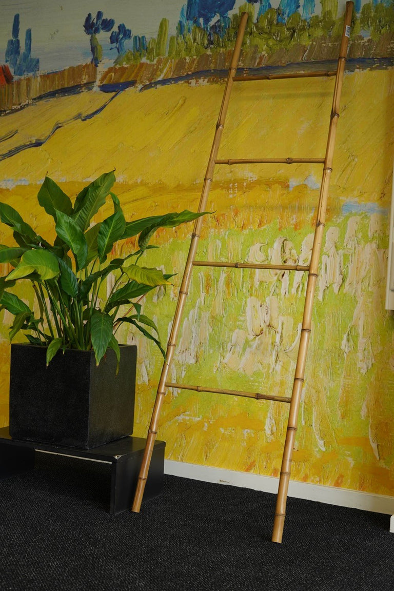 Decoratieve ladder Aya