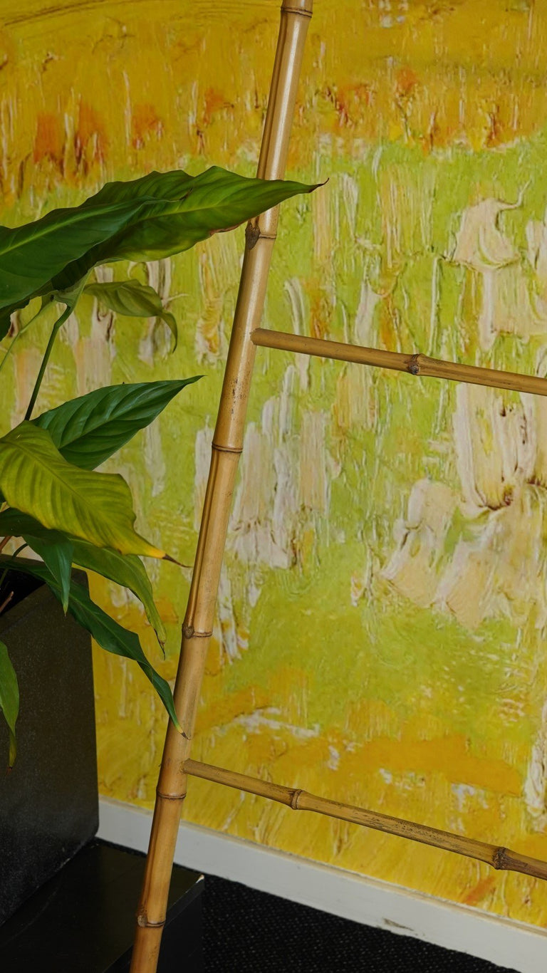 Decoratieve ladder Aya