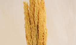 Set sierpluimen