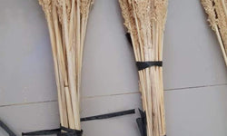 Set sierpluimen