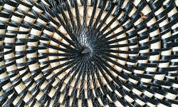 Set van 3 Schalen Uma