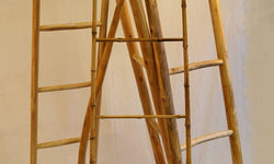 Sierladder Lia