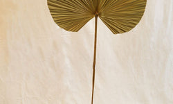 Sierpluim Palm