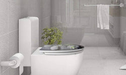 Toiletbril Rainy Day