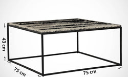 Salontafel Silver
