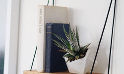 Wandplank Flora