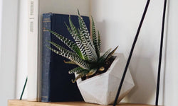 Wandplank Flora