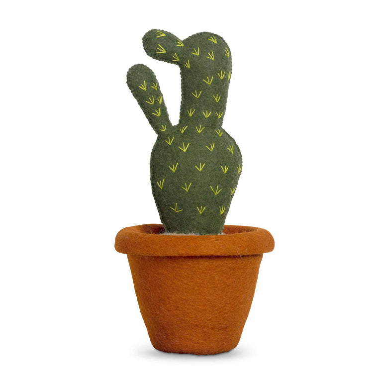 Decoratie Cactus Skylar