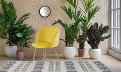 Set van 2 eetkamerstoelen Celine velvet