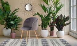 Set van 2 eetkamerstoelen Celine velvet