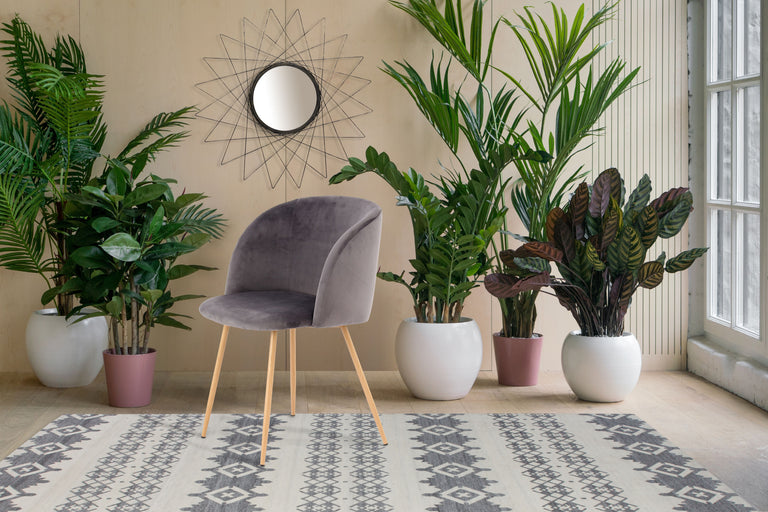 Set van 2 eetkamerstoelen Celine velvet