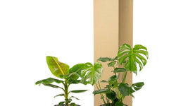 Set van 2 kamerplanten in mand - Monstera & Bananenplant