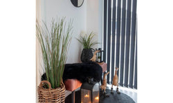 Set van 3 decoratieve eenden Virgo