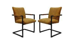 Set van 2 eetkamerstoelen Boston velvet