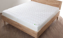 Matrasbeschermer Aloe Vera