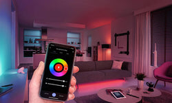 Smart home starterkit met schakelaar, stekker & LED-peer