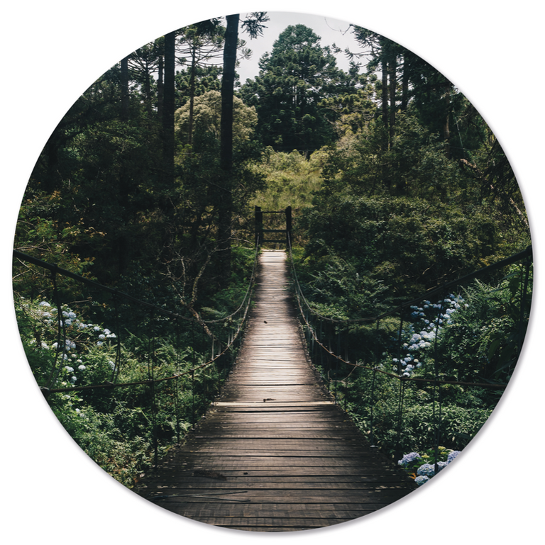 Wanddecoratie cirkel Brug outdoor