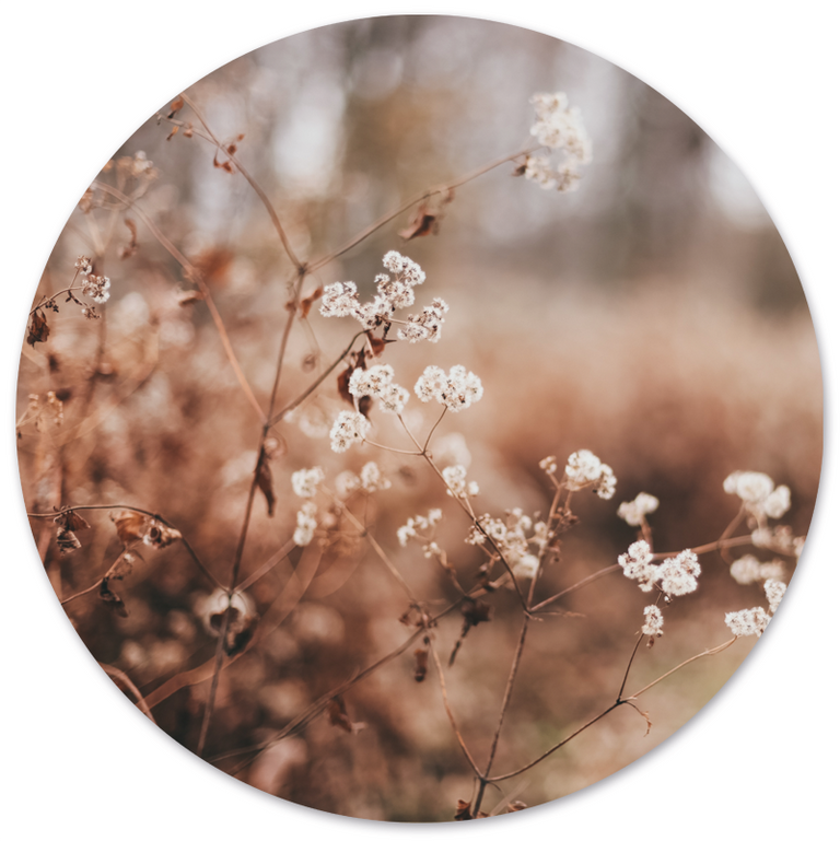 Wanddecoratie cirkel Cosy Flower outdoor