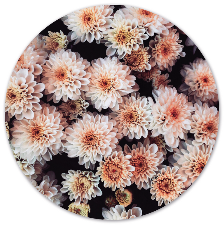 Wanddecoratie cirkel Flower Bomb outdoor