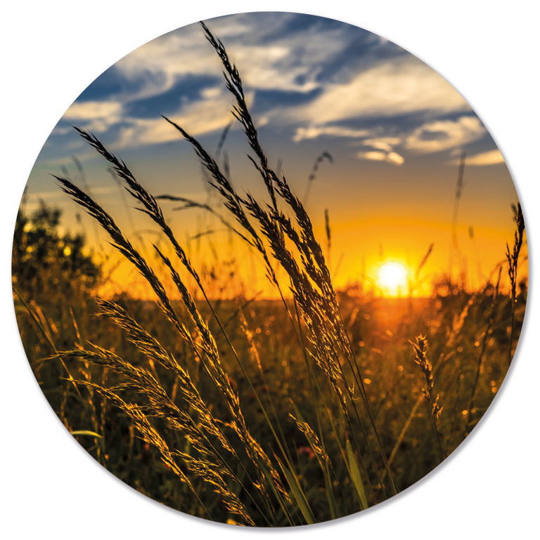 Wanddecoratie cirkel Grass Sun