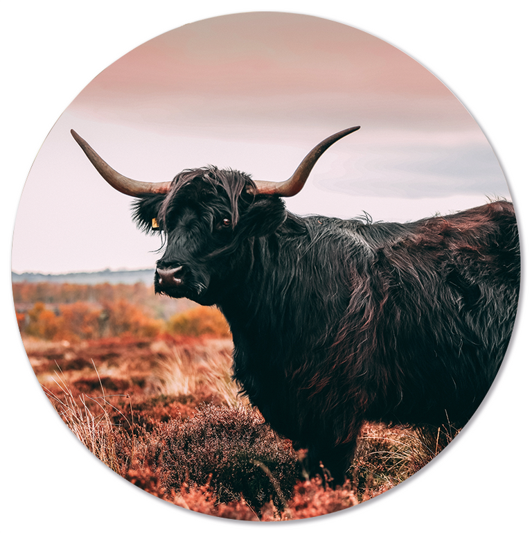 Wanddecoratie cirkel Highlander