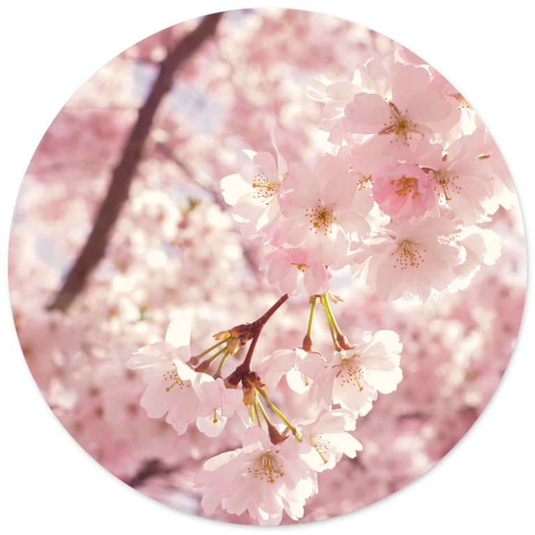 Wanddecoratie cirkel Spring outdoor